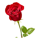 Azizul Alam Azizul Alam